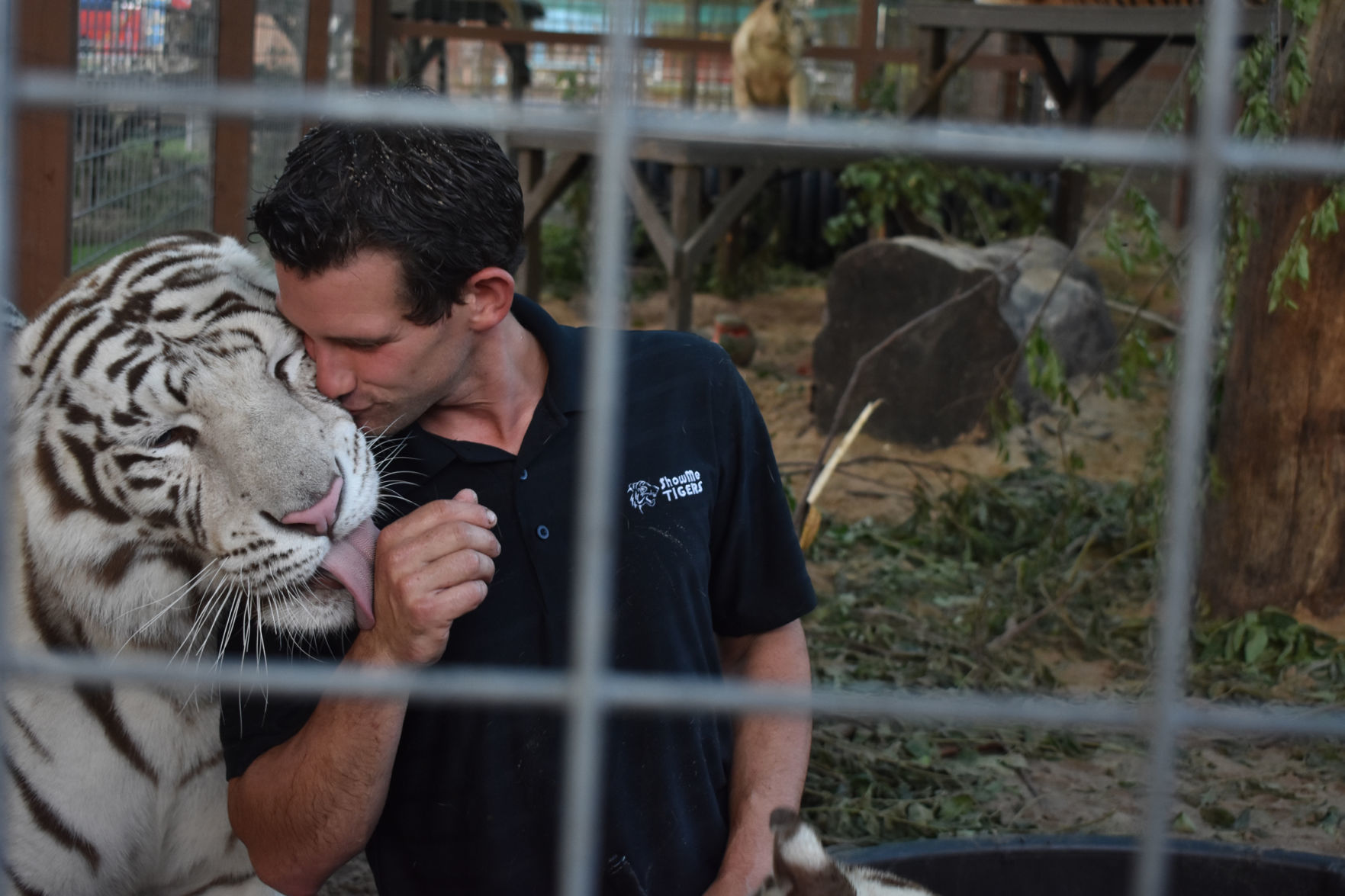 Ryan kisses tiger Jasmine